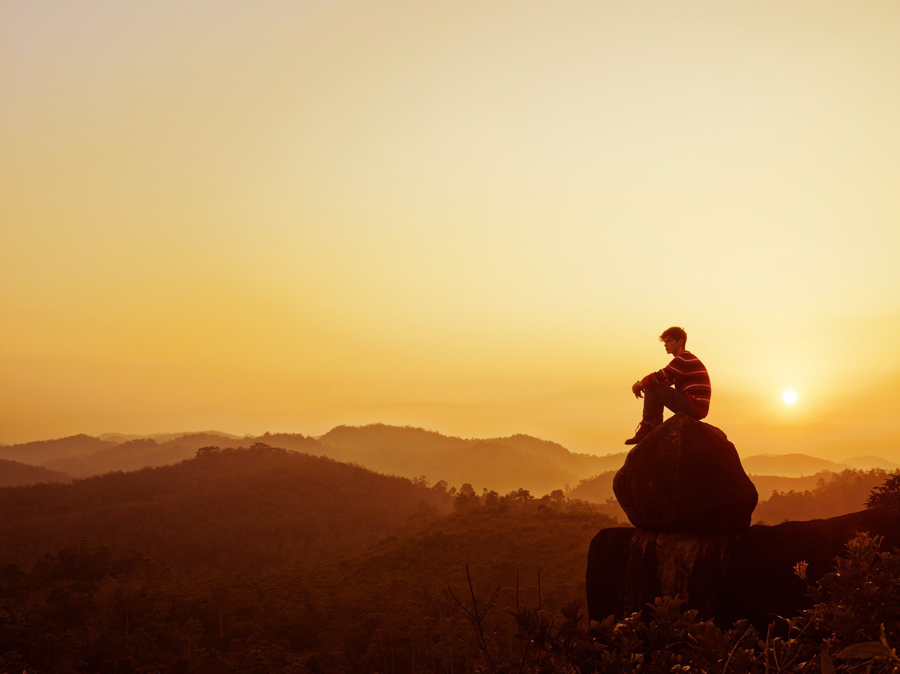 Bella howard JACKWILLS11