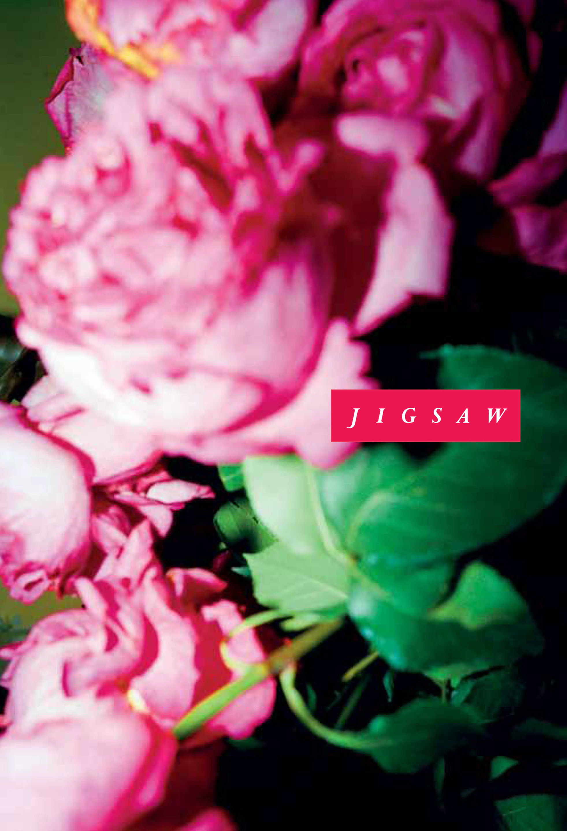 Bella howard JIGSAW12