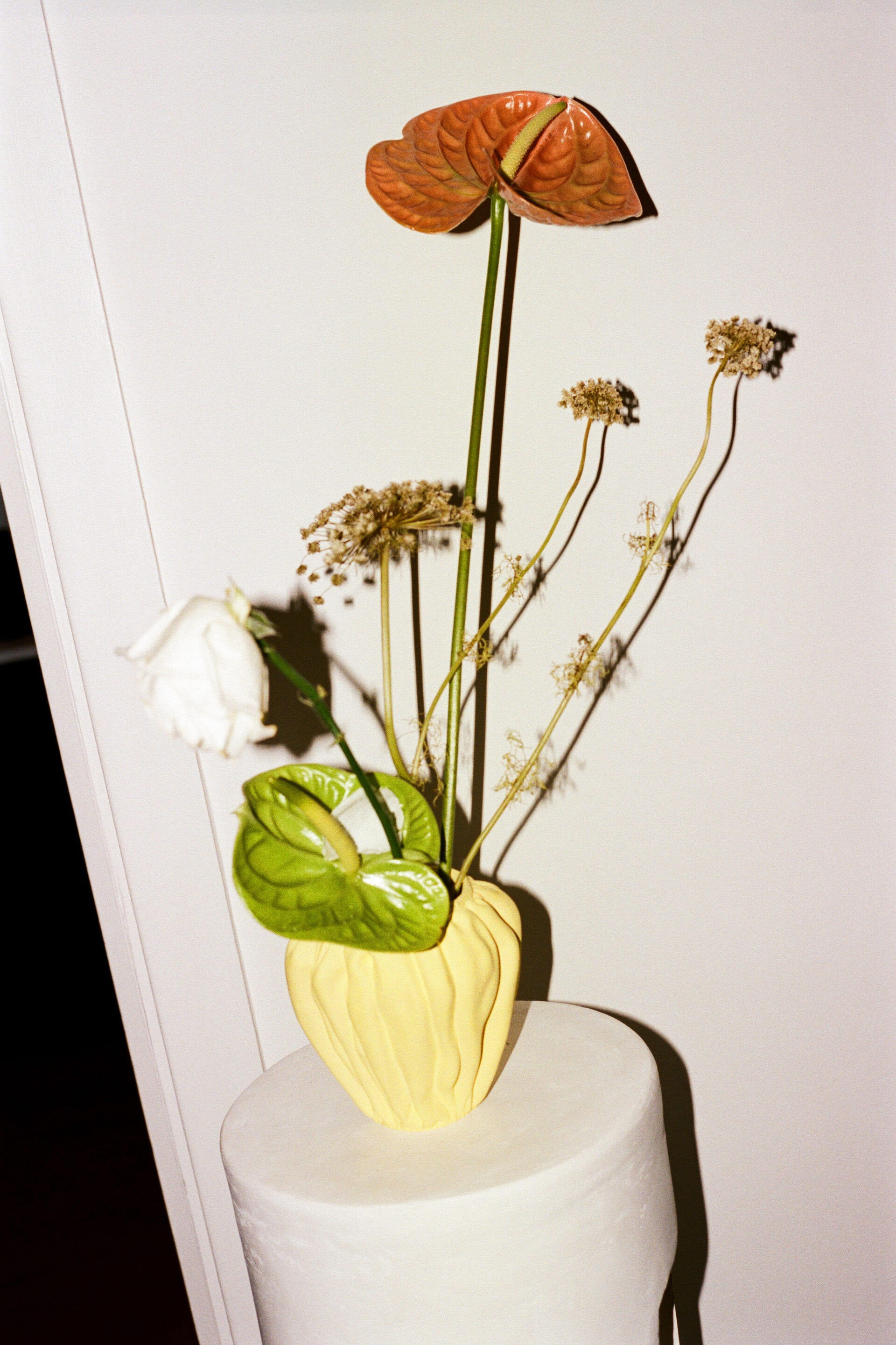 Bella howard anissa kermiche 04