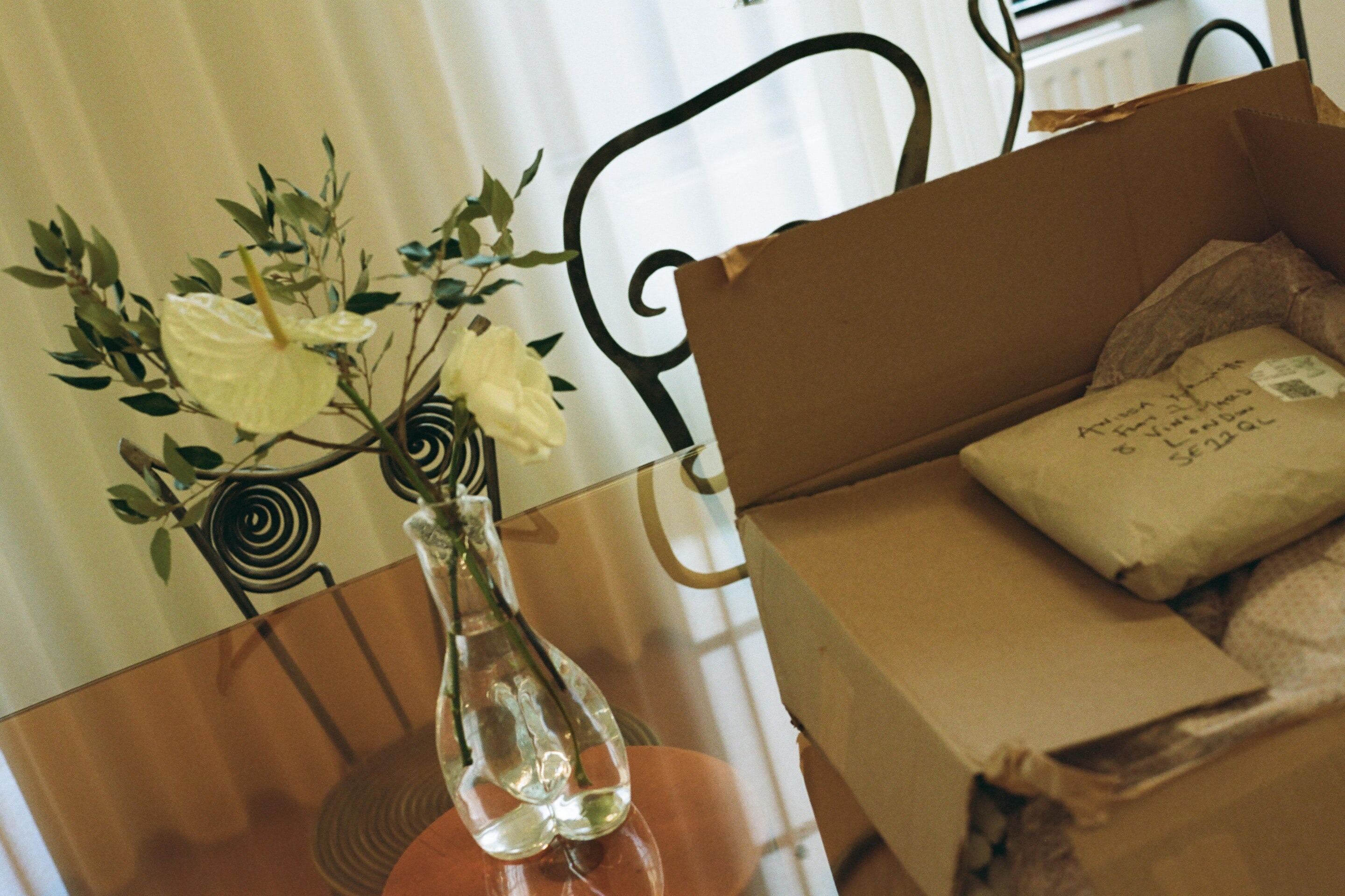 Bella howard anissa kermiche 10