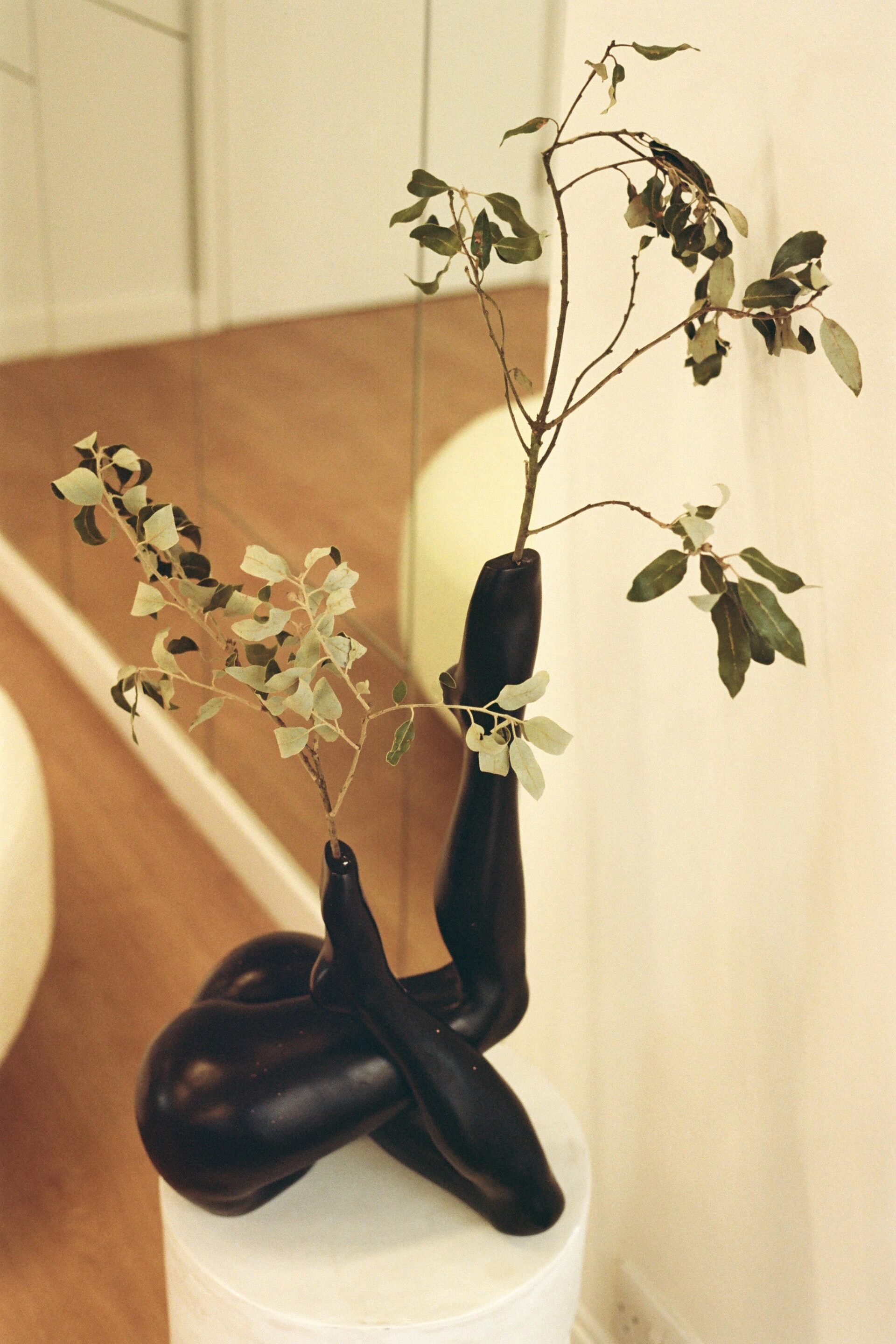 Bella howard anissa kermiche 11