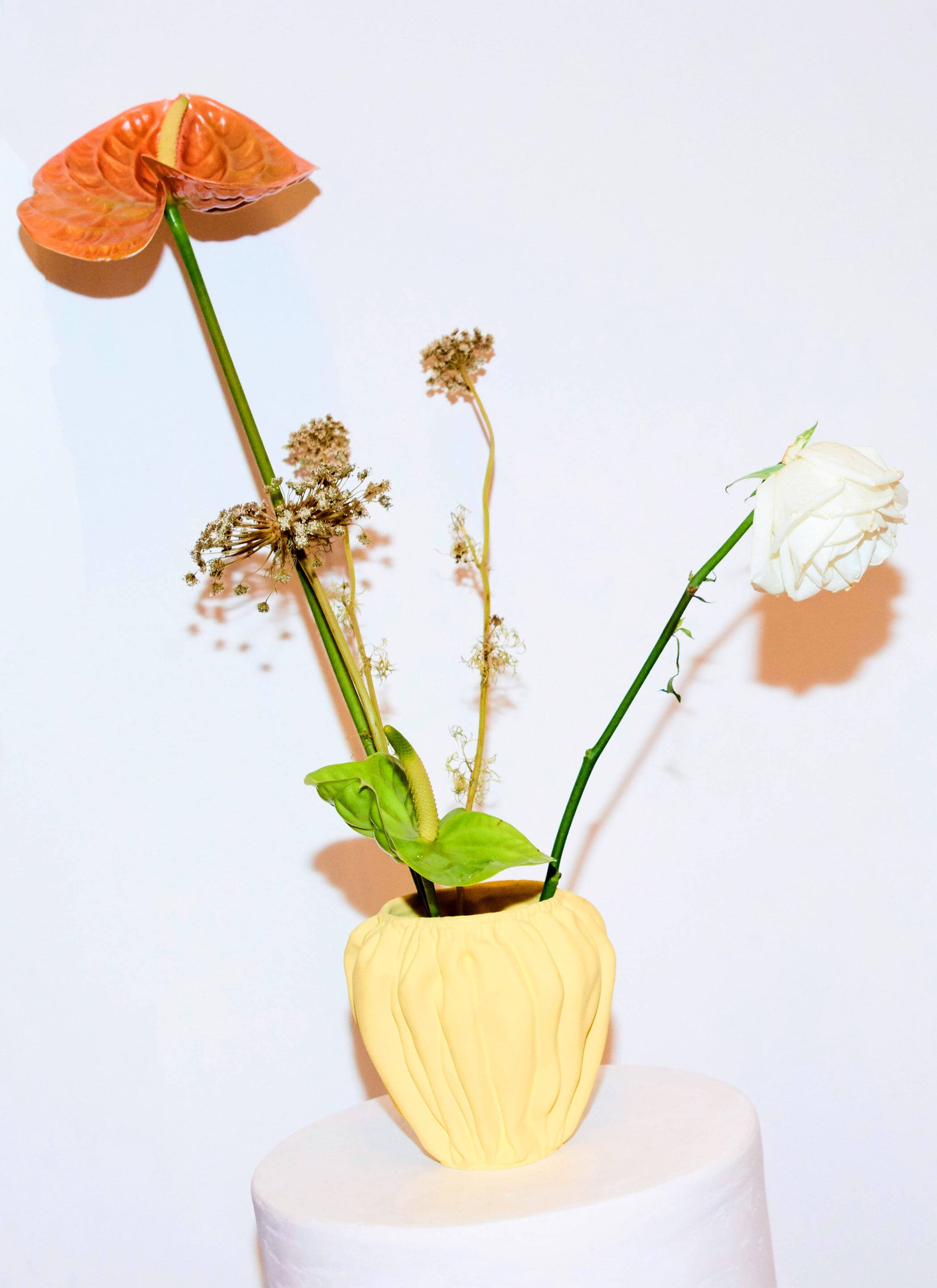 Bella howard anissa kermiche 23