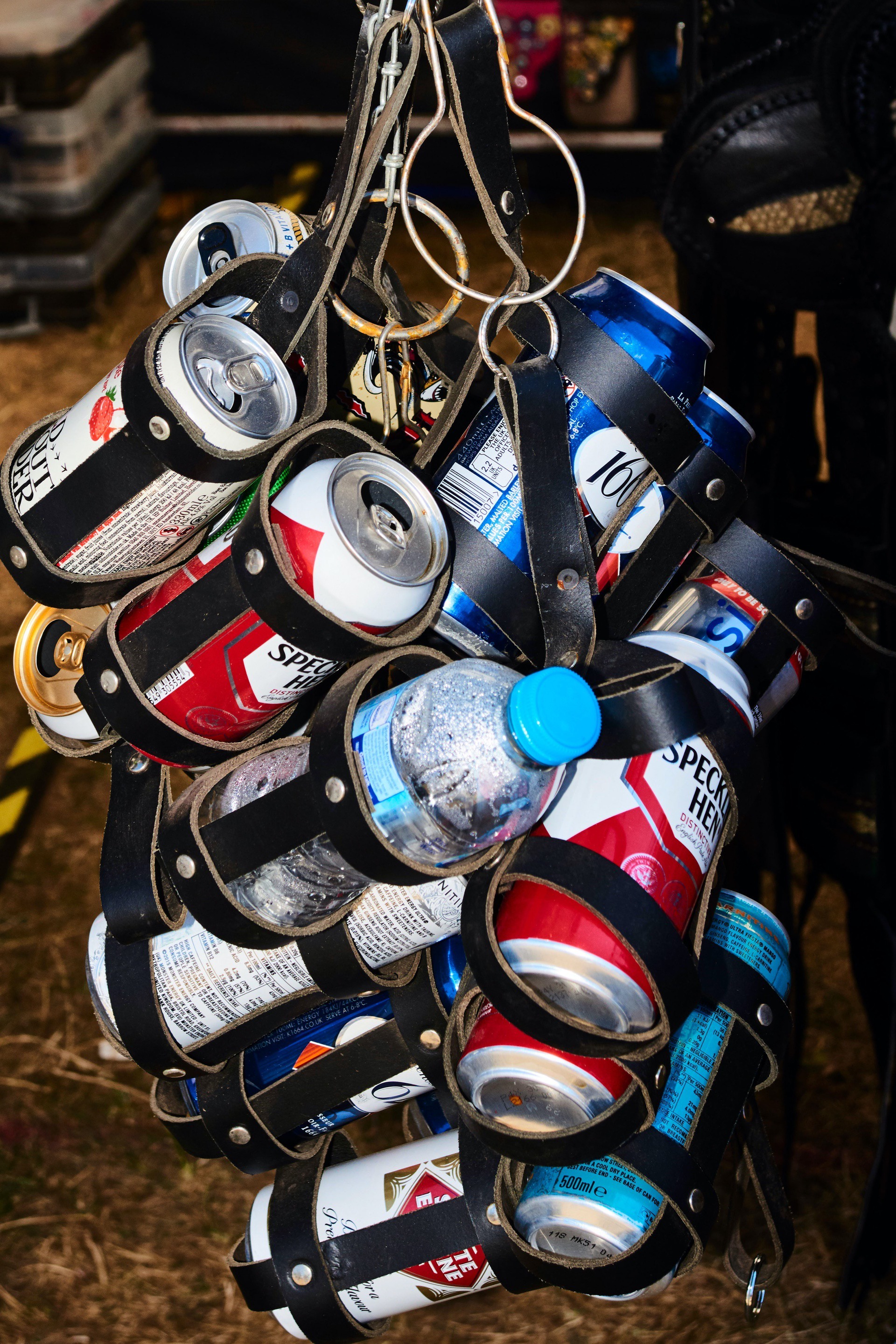 Bella howard bloodstock 13