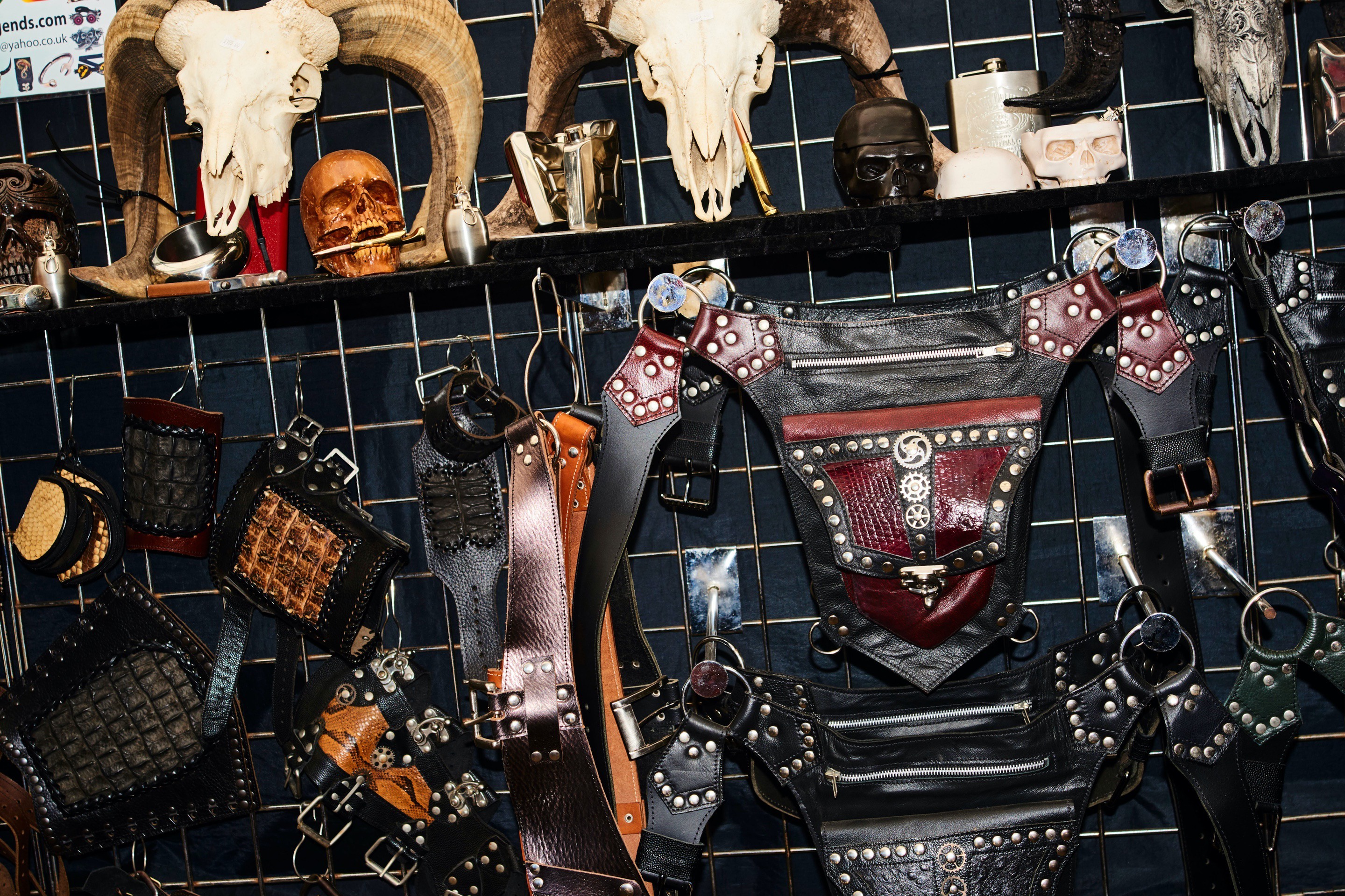 Bella howard bloodstock 14