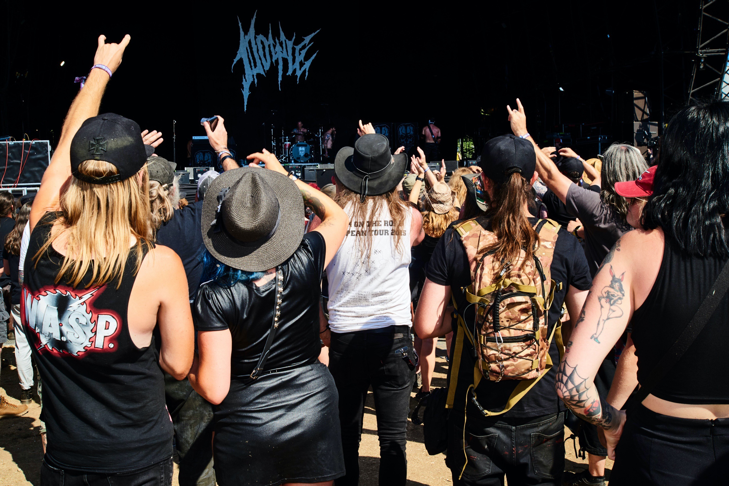 Bella howard bloodstock 38