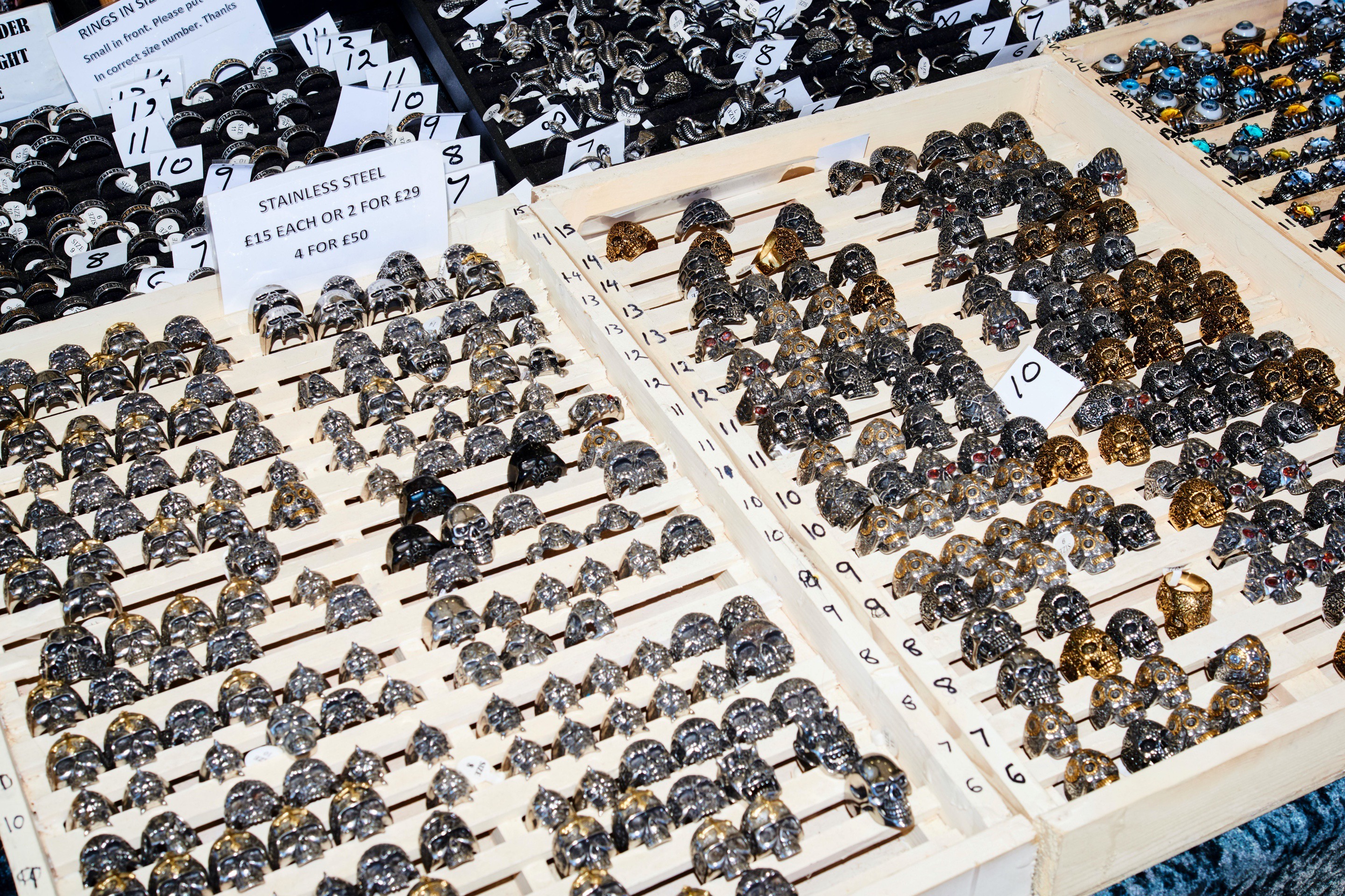 Bella howard bloodstock 45