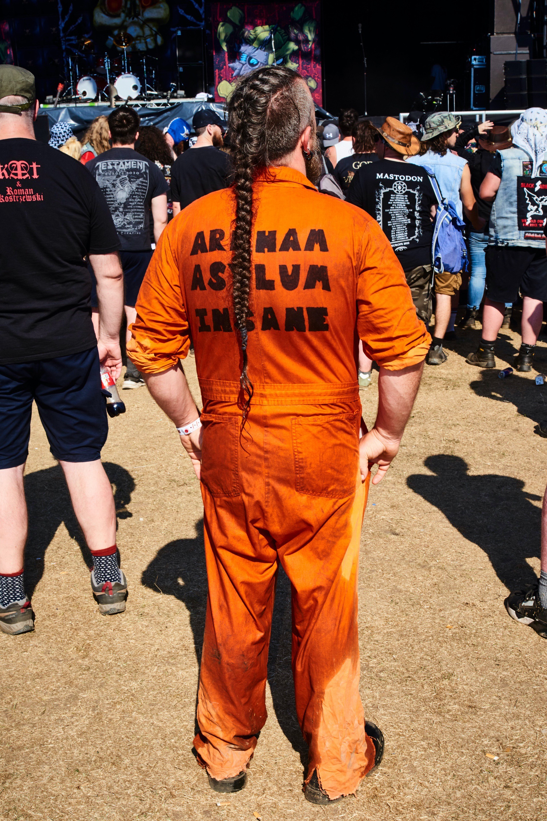 Bella howard bloodstock 50