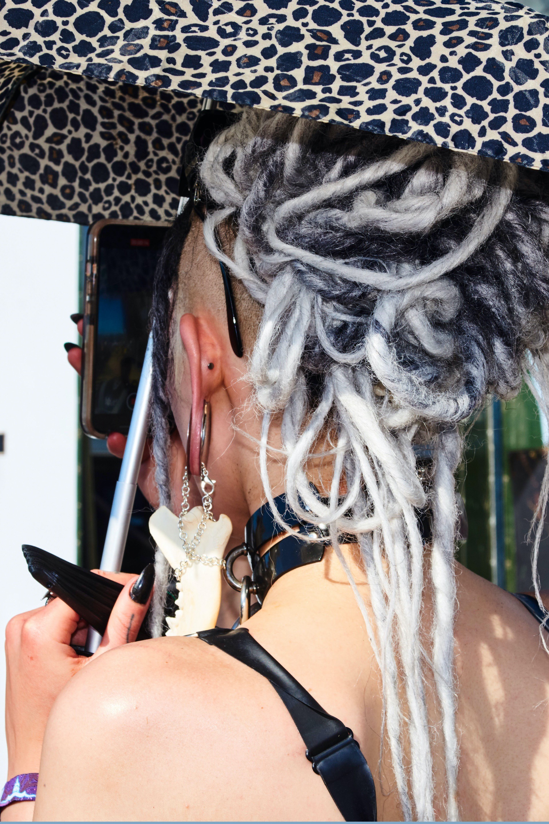 Bella howard bloodstock 71