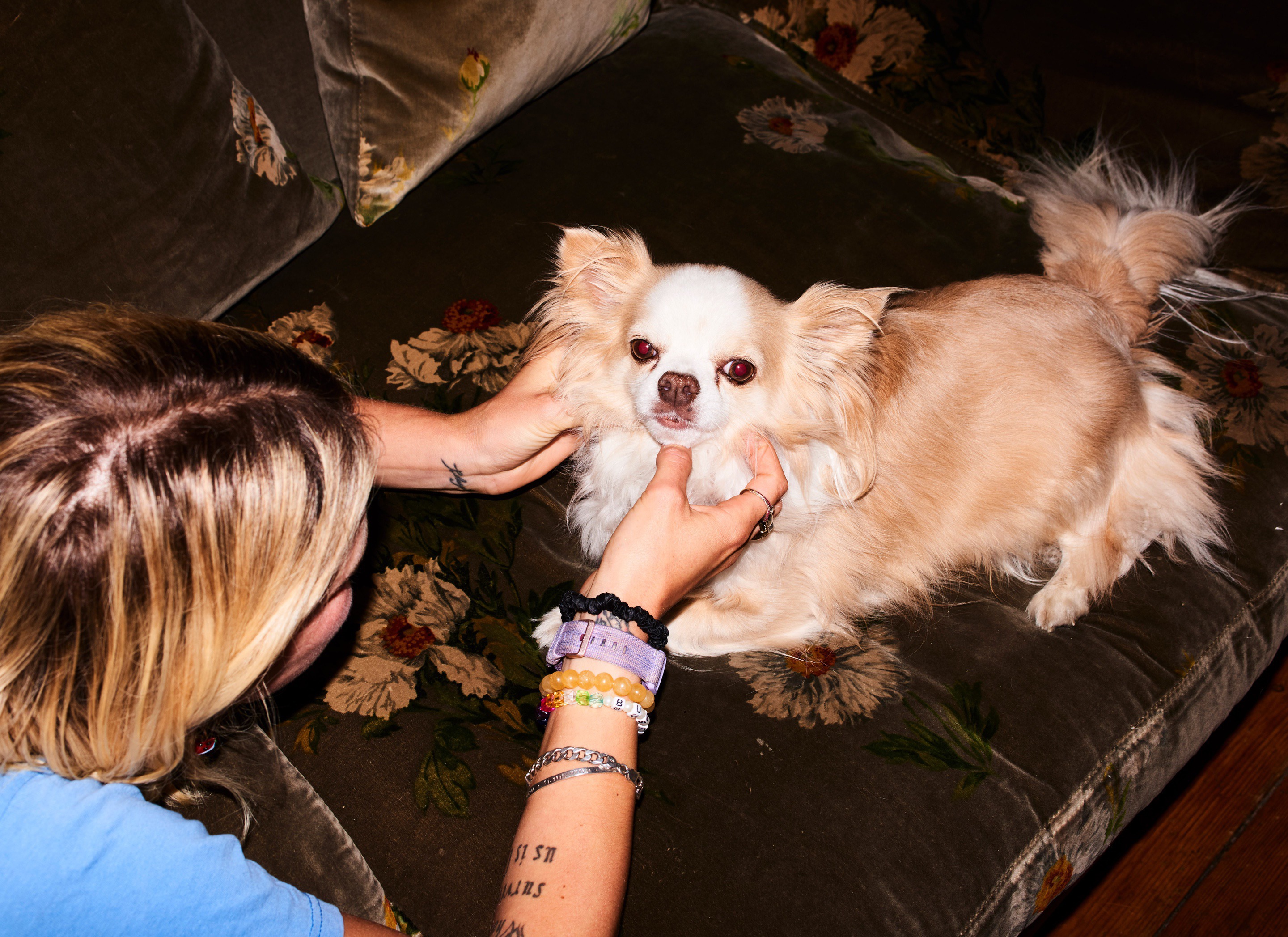 Bella howard pixie george 06